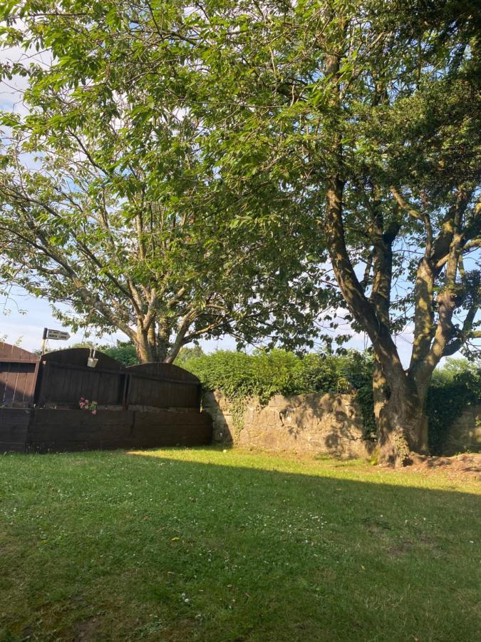 Kilkea North Lodge Self Contained Guest Accommodations מראה חיצוני תמונה