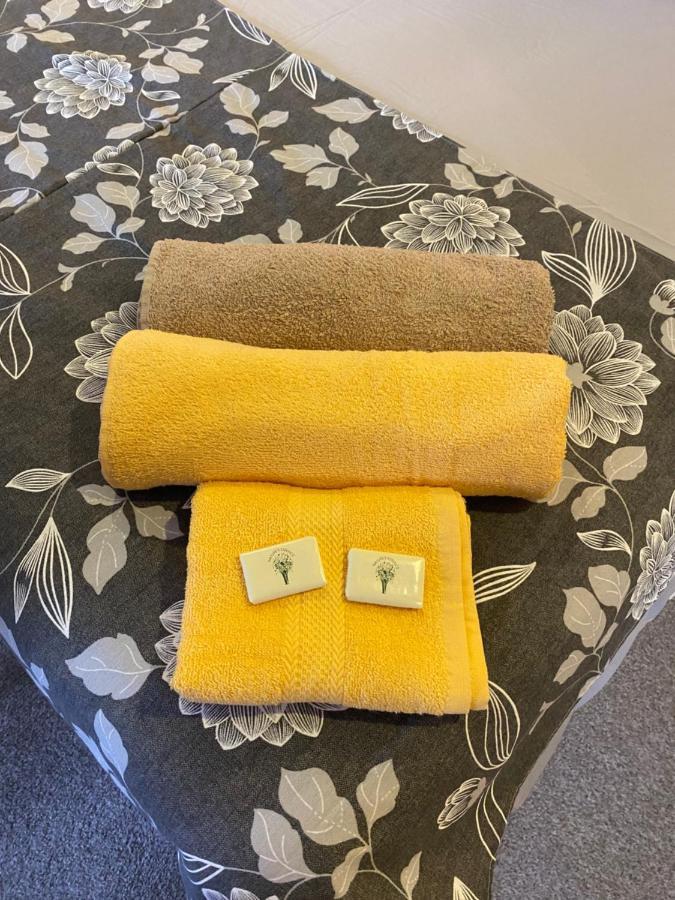 Kilkea North Lodge Self Contained Guest Accommodations מראה חיצוני תמונה