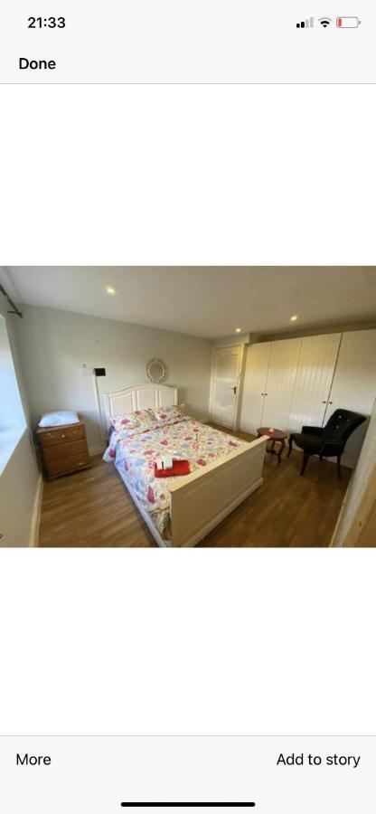 Kilkea North Lodge Self Contained Guest Accommodations מראה חיצוני תמונה