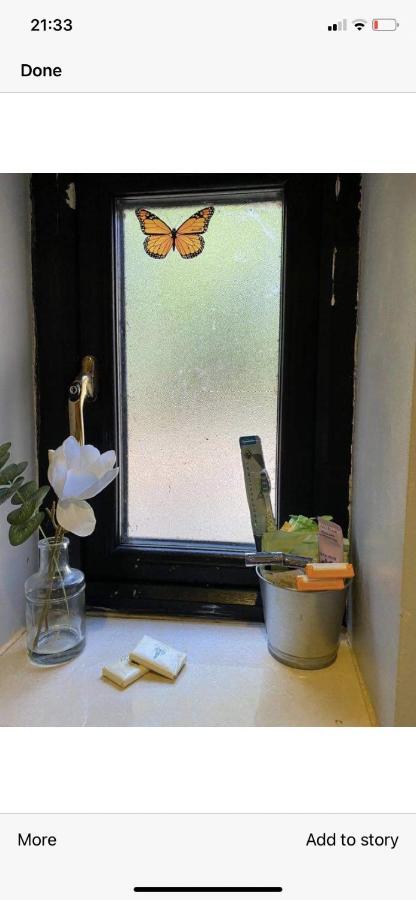 Kilkea North Lodge Self Contained Guest Accommodations מראה חיצוני תמונה