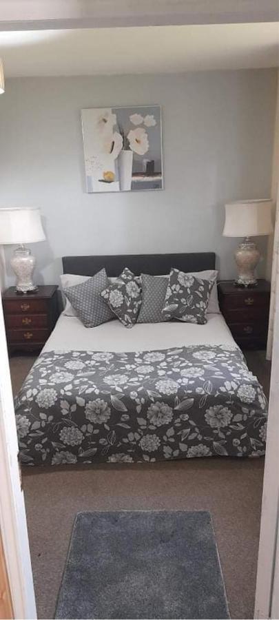 Kilkea North Lodge Self Contained Guest Accommodations מראה חיצוני תמונה