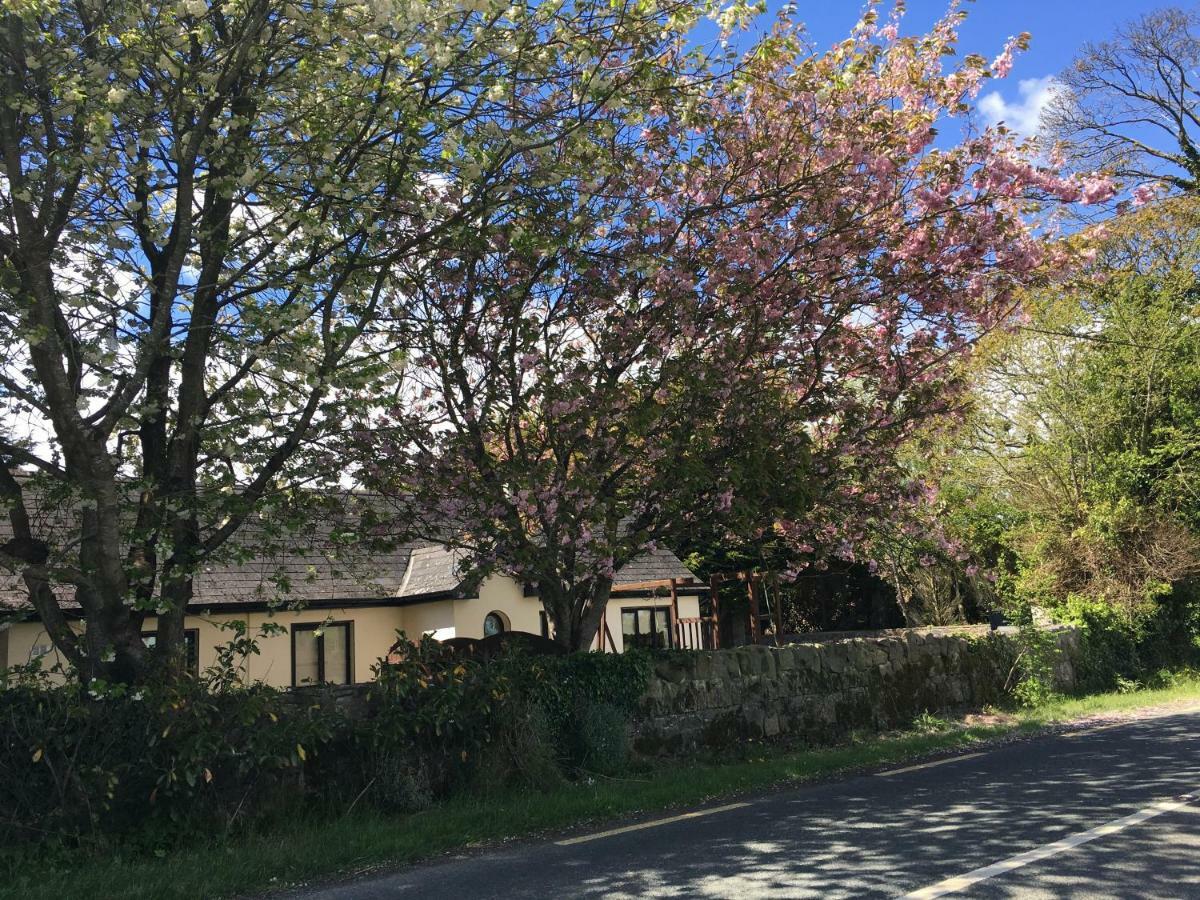 Kilkea North Lodge Self Contained Guest Accommodations מראה חיצוני תמונה