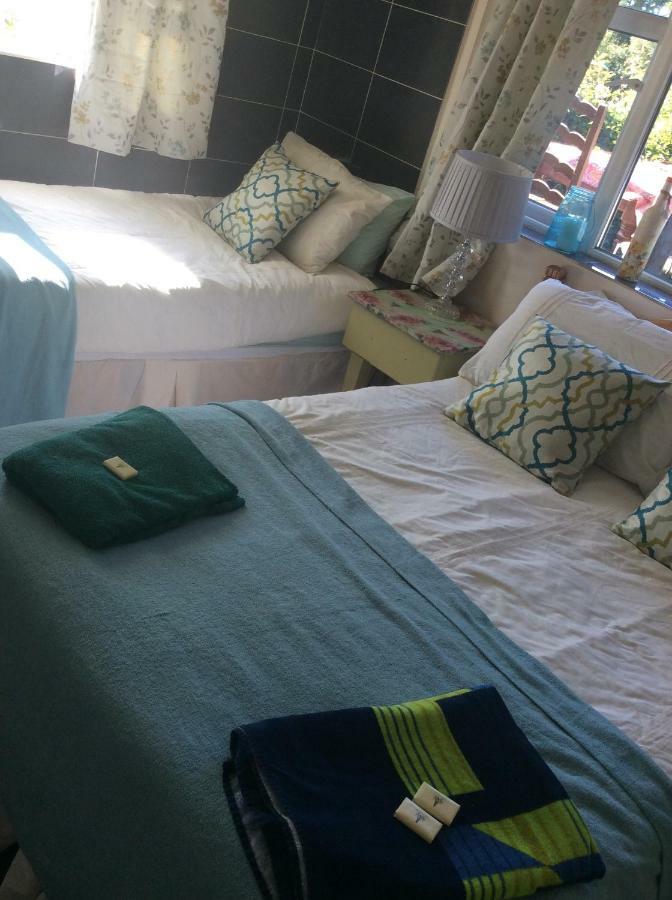 Kilkea North Lodge Self Contained Guest Accommodations מראה חיצוני תמונה