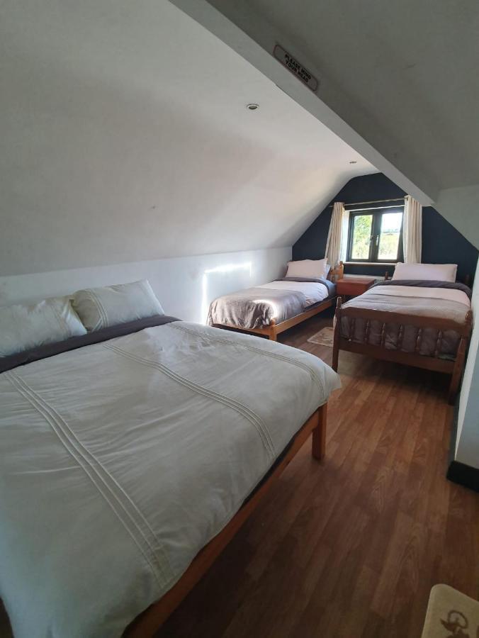 Kilkea North Lodge Self Contained Guest Accommodations מראה חיצוני תמונה