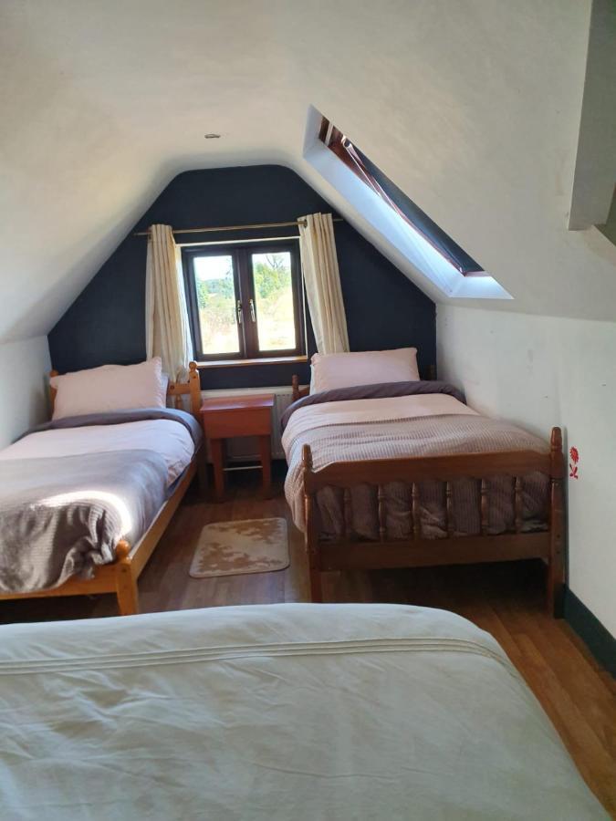 Kilkea North Lodge Self Contained Guest Accommodations מראה חיצוני תמונה